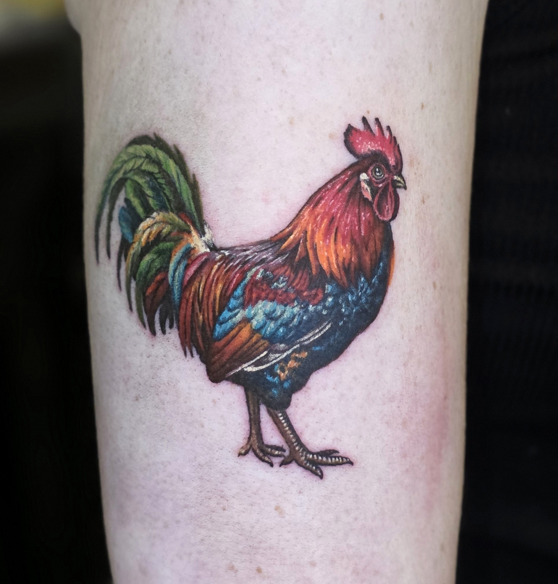 Award-winning small color tattoo, Villain Arts Omaha 2026